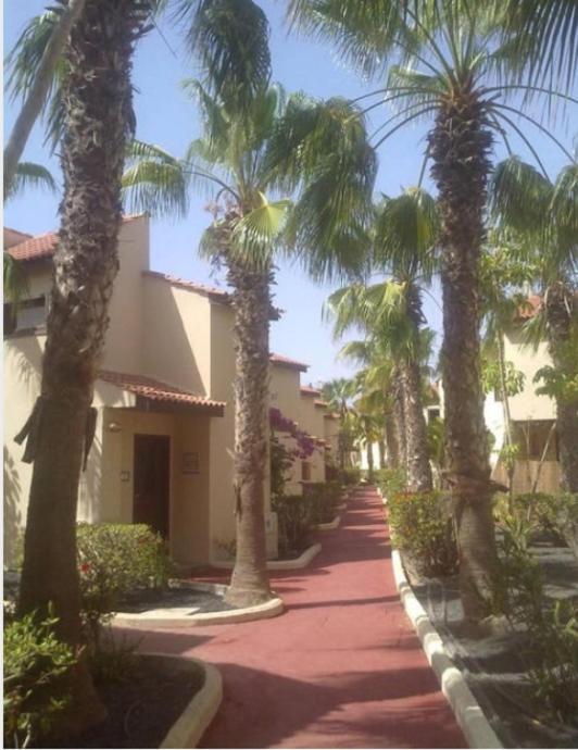 Villa Relax A 10 Minuti Da Corralejo Parque Holandes Exterior foto